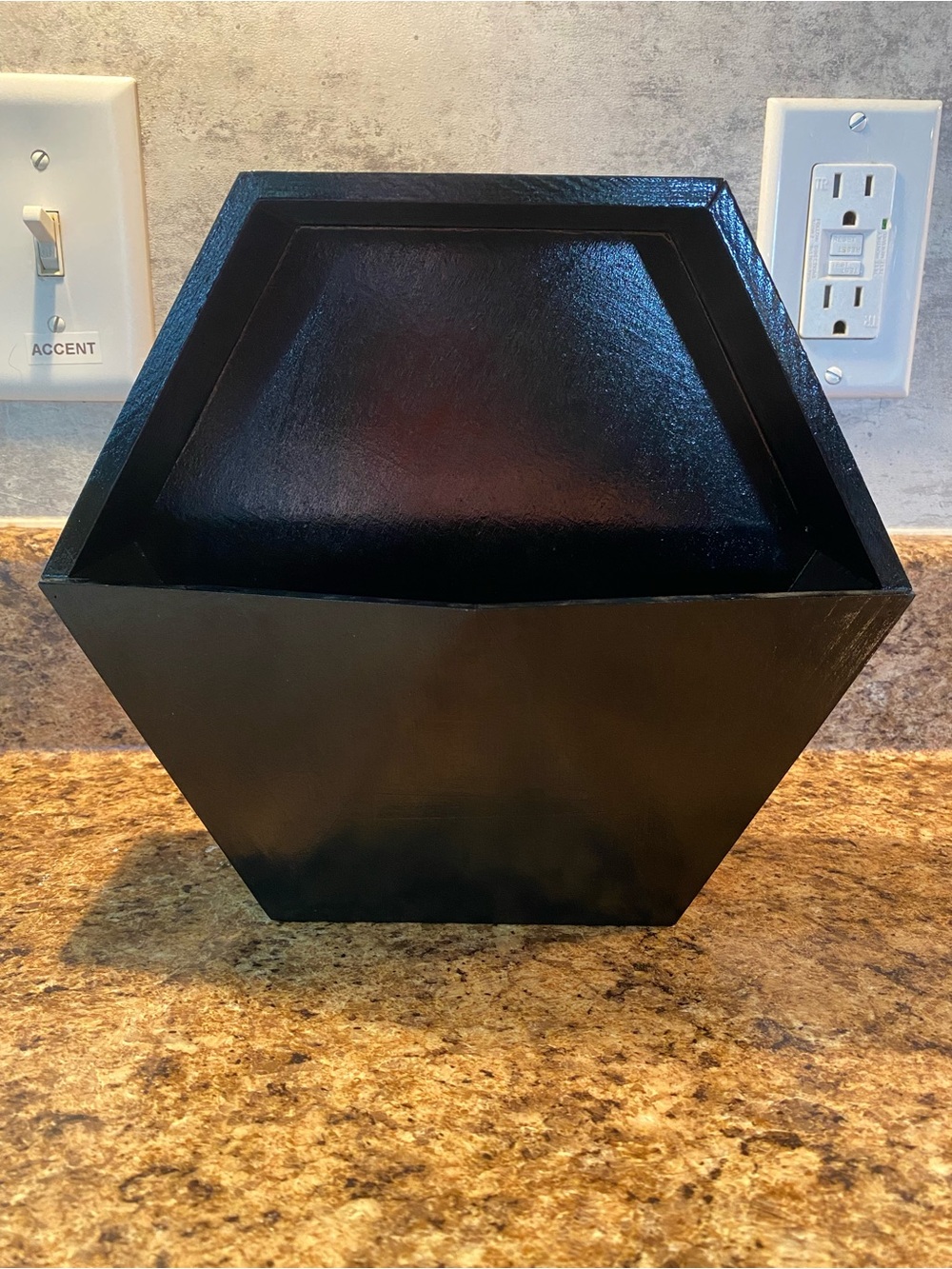 Hexagon Black Decorative Wall Planter